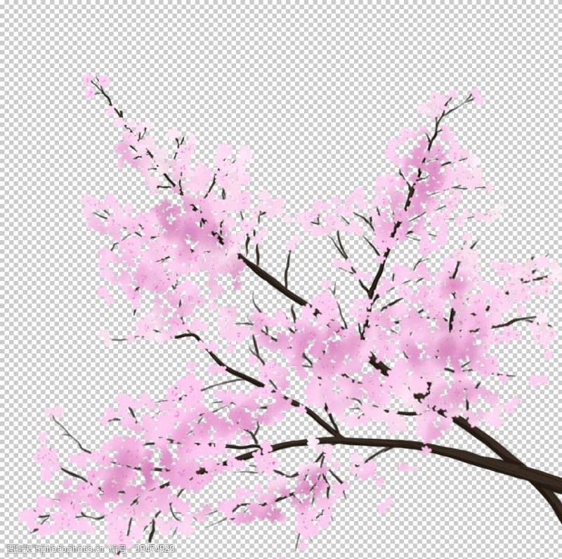樱花季手绘桃花图片