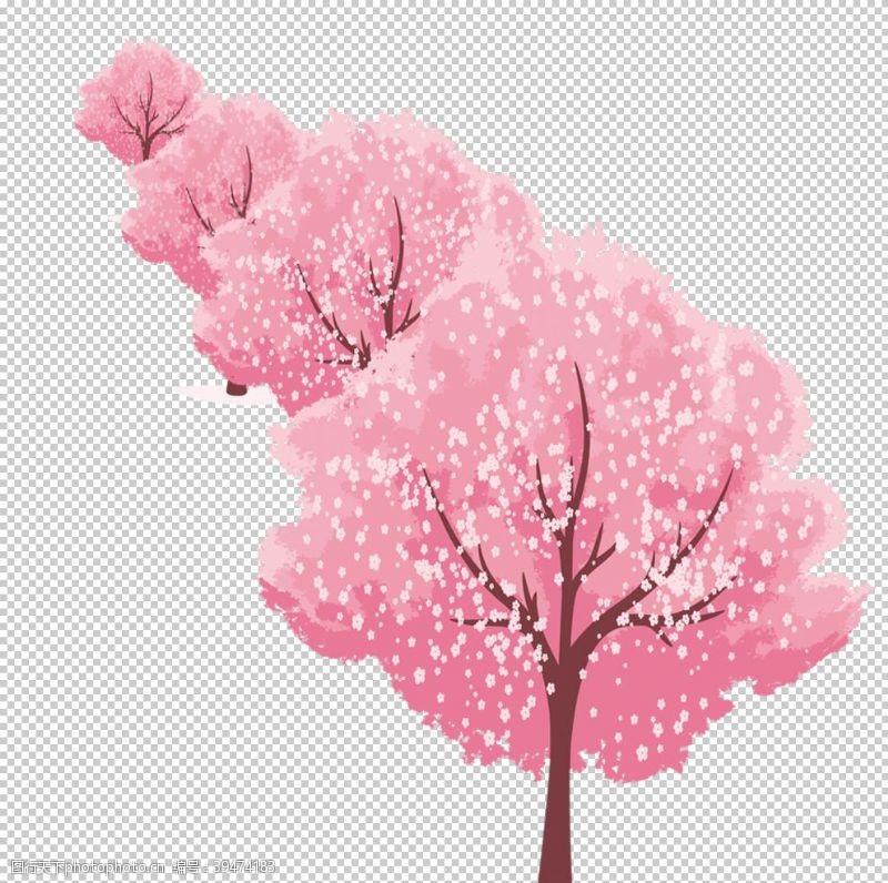 武大樱花手绘樱花素材图片