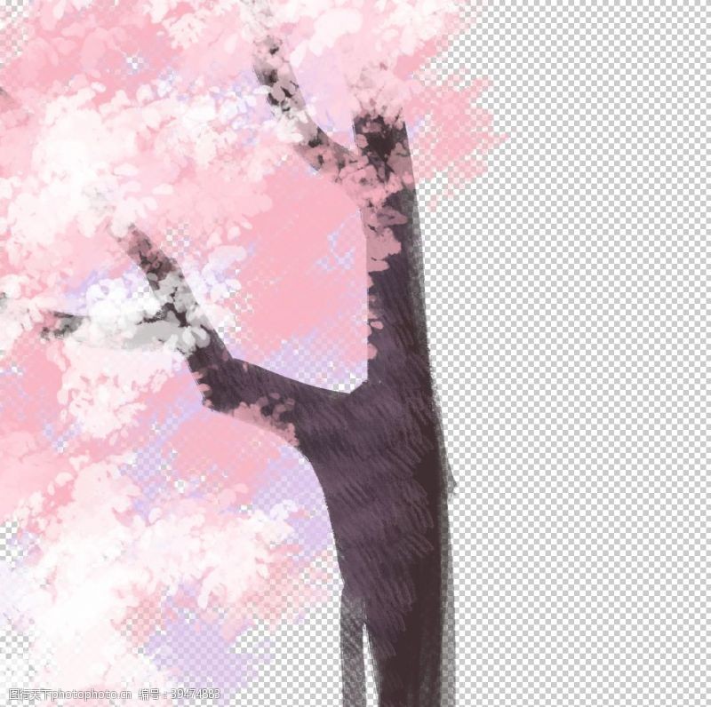 樱花宣传手绘樱花图片