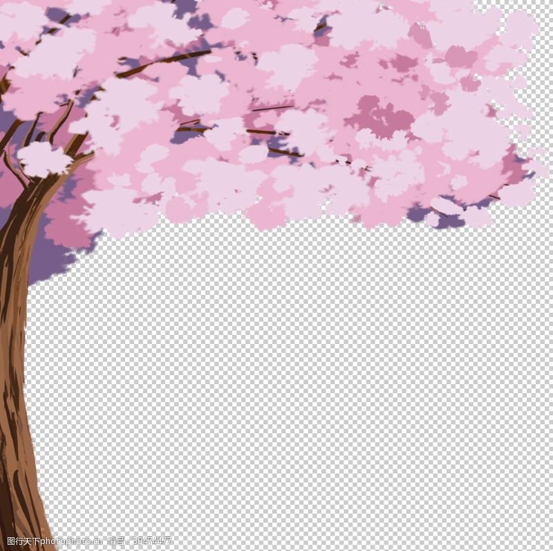 樱花装饰樱花素材图片