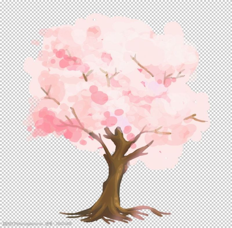 樱花展架樱花素材图片