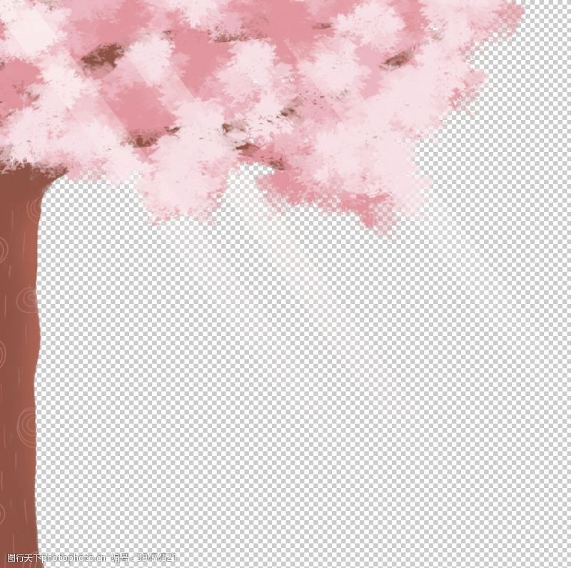樱花宣传樱花素材图片