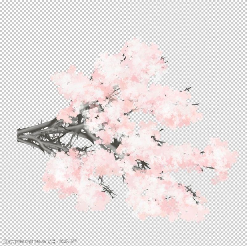 樱花烂漫樱花素材图片