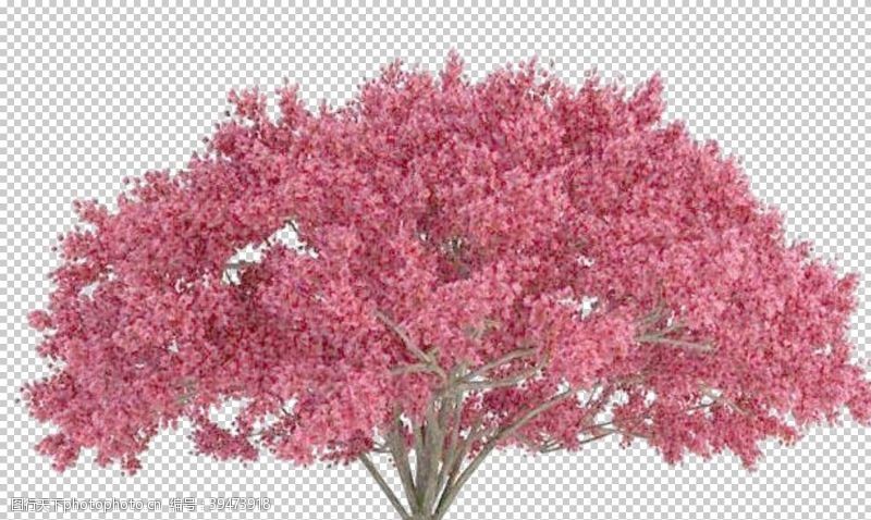 春天景色樱花装饰素材图片