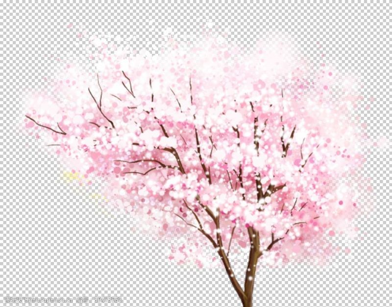 樱花烂漫樱花装饰素材图片