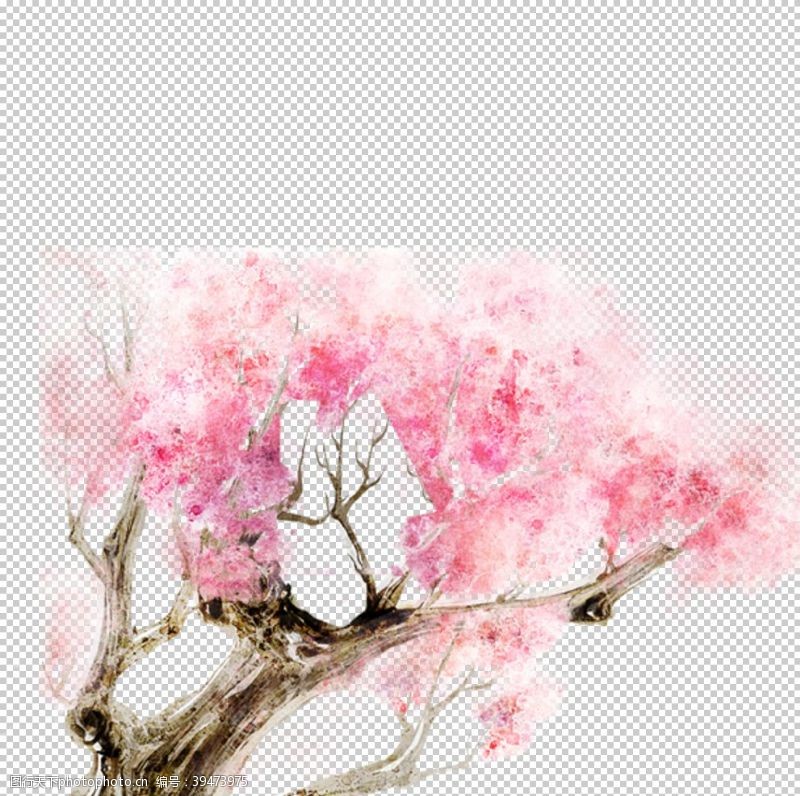 樱花季樱花装饰素材图片