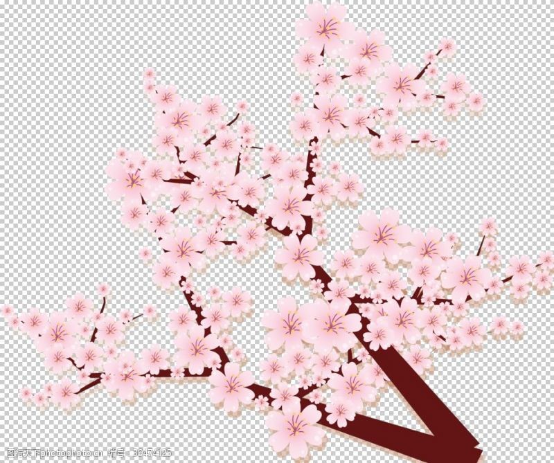 樱花宣传樱花装饰素材图片