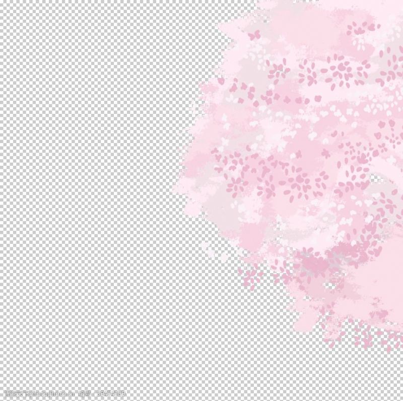 樱花品种樱花装饰素材图片