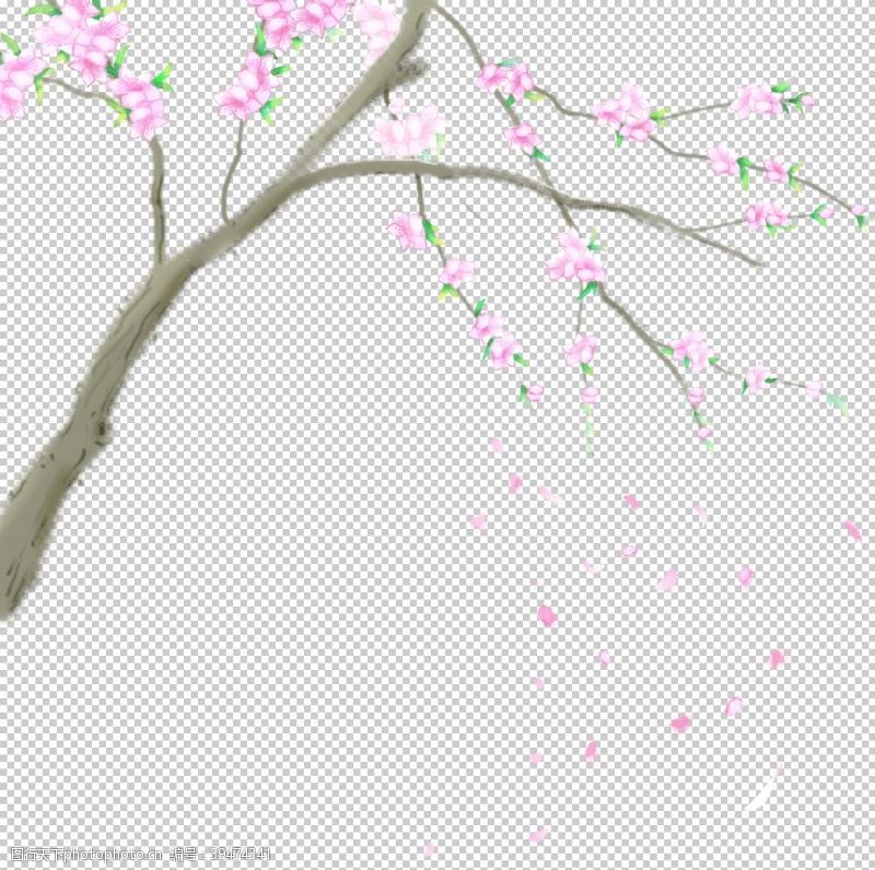 樱花素材樱花装饰图片