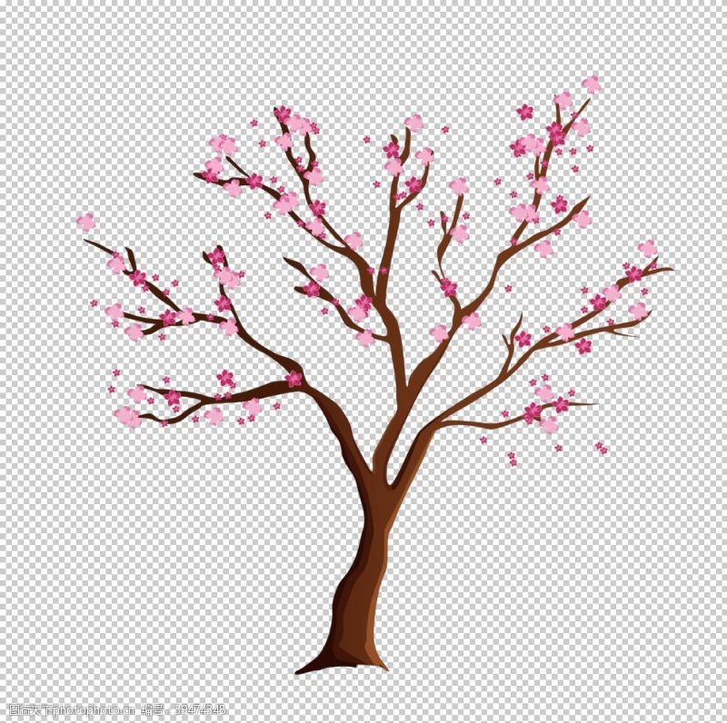 樱桃展架樱花装饰图片