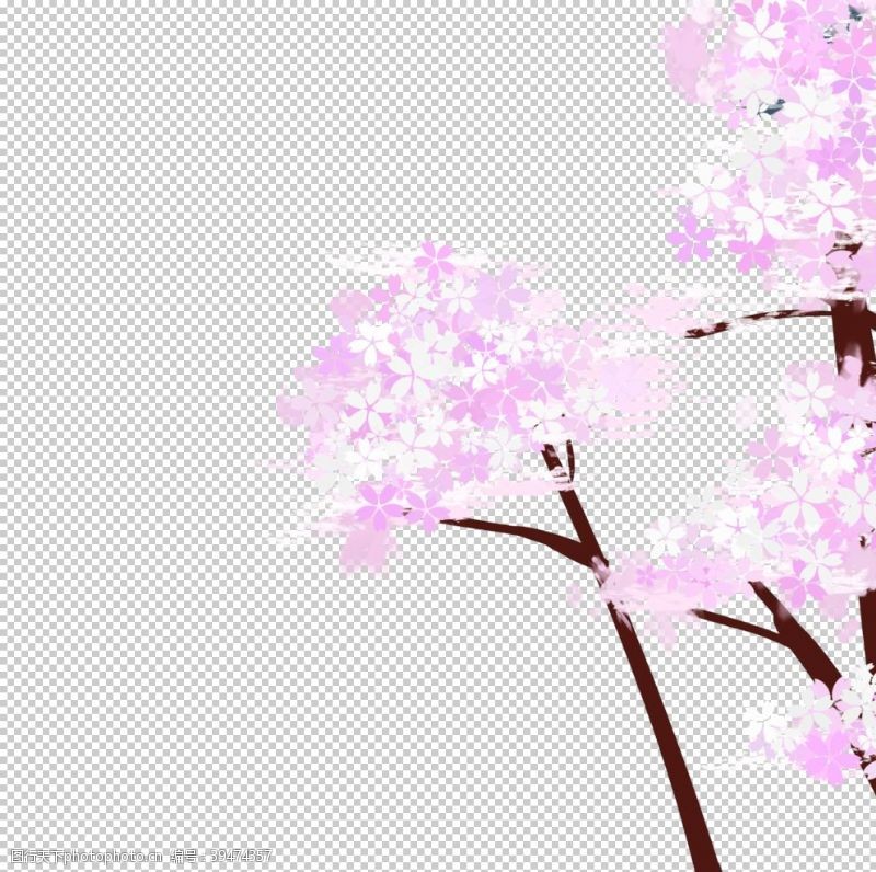 樱花节樱花装饰图片