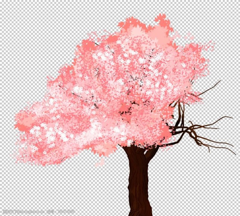 东京樱花樱花装饰图片
