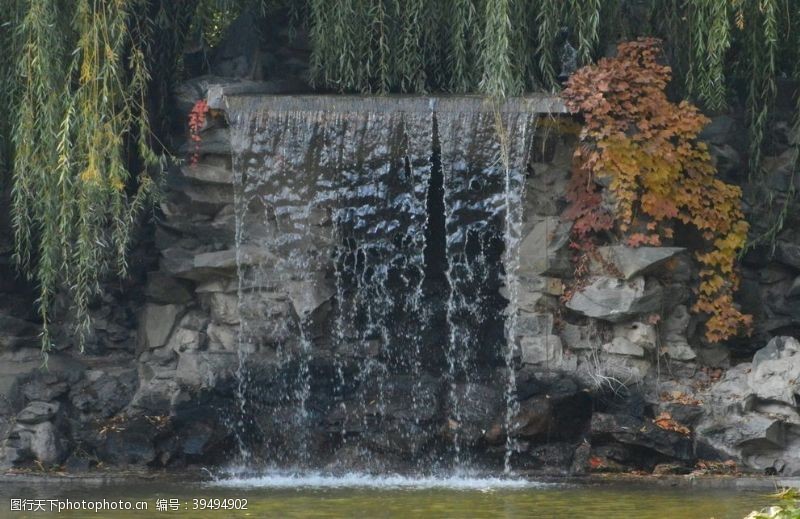 地锦彩叶风景图片