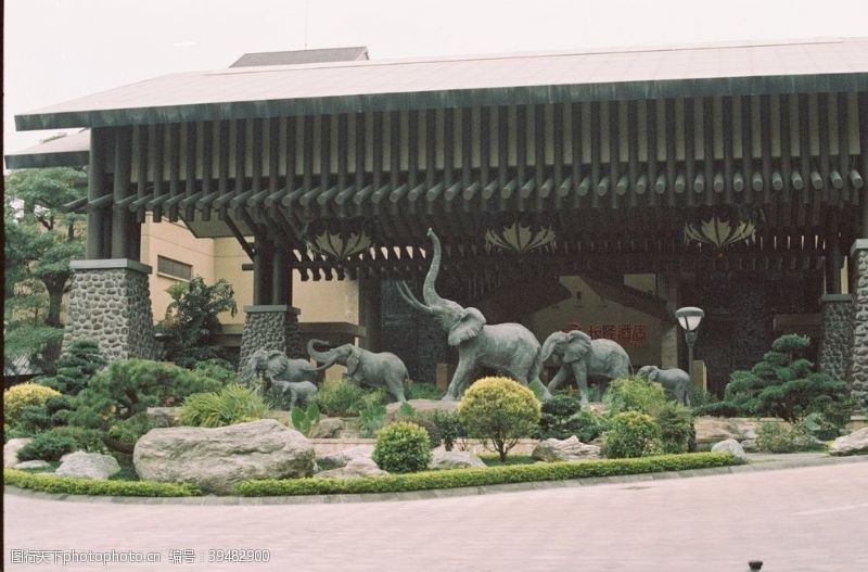 长隆酒店大象群图片