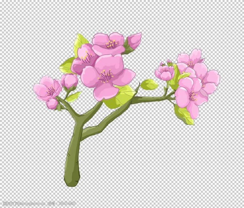 樱花展架粉色花朵图片