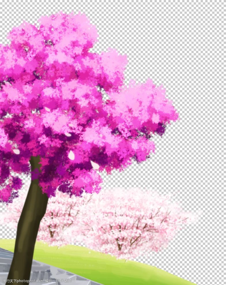 樱花公园粉色樱花装饰图片
