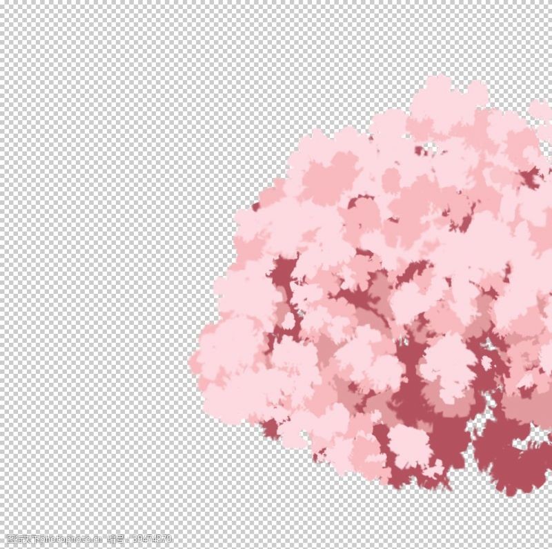 樱花展架粉色樱花装饰图片