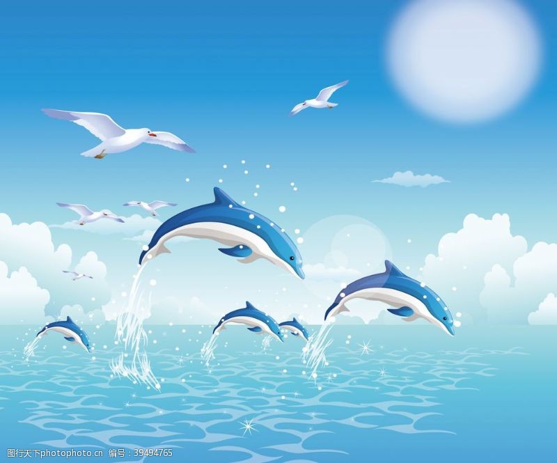 海鸥海豚蓝天水波图片