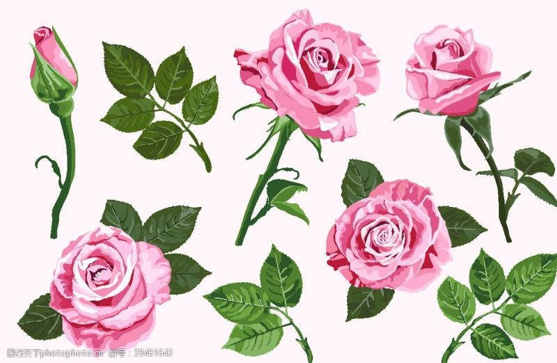 时尚童装女装花型玫瑰月季花骨朵图片