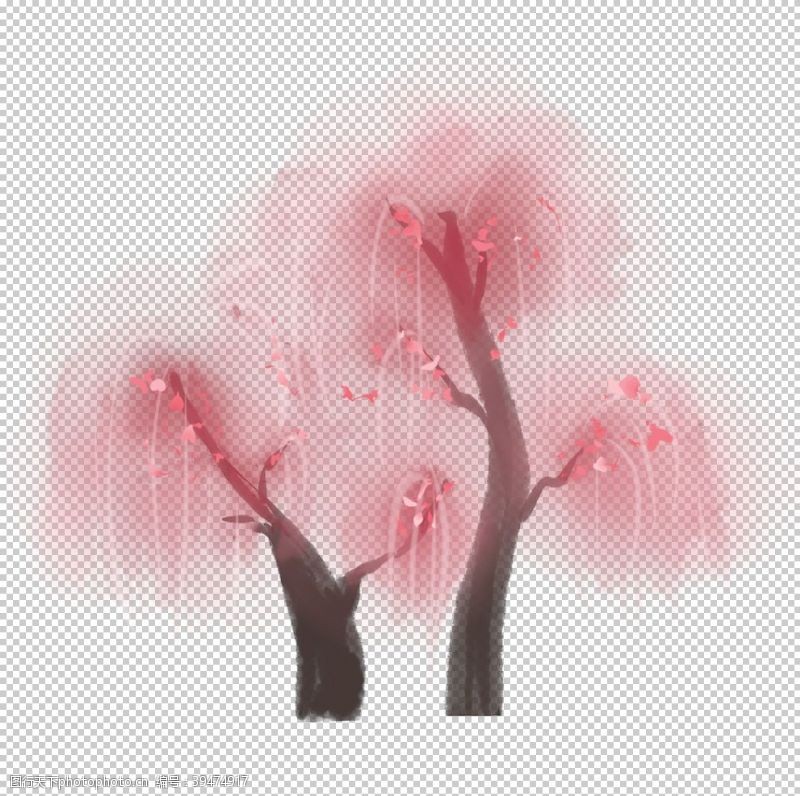 白色樱花手绘桃花图片