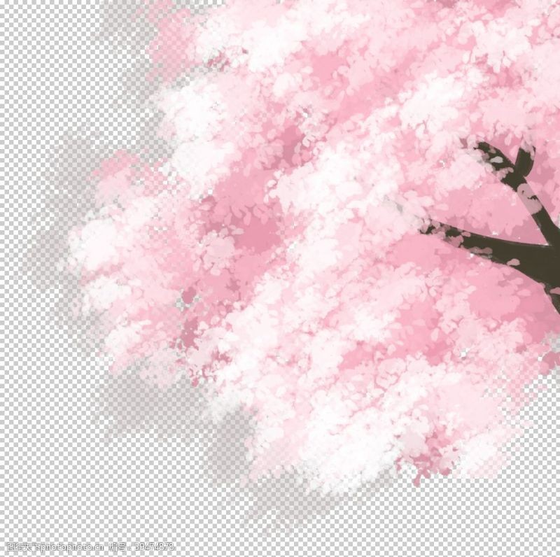 樱花海报手绘樱花图片