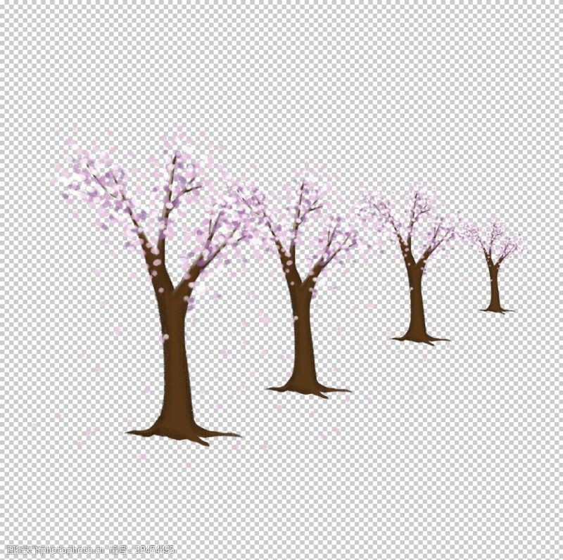 樱花展架樱花素材图片