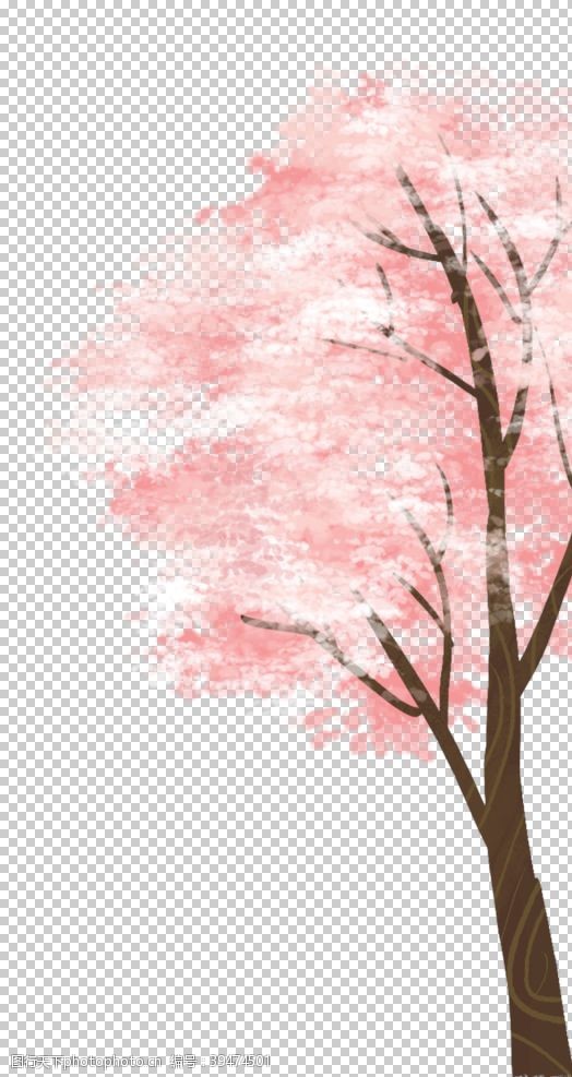 手绘樱花樱花素材图片