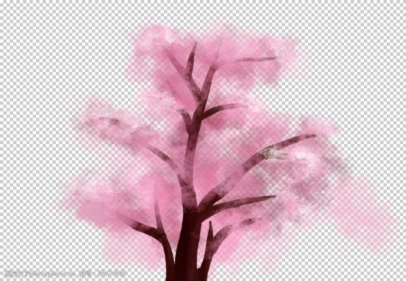 樱花节展架樱花素材图片