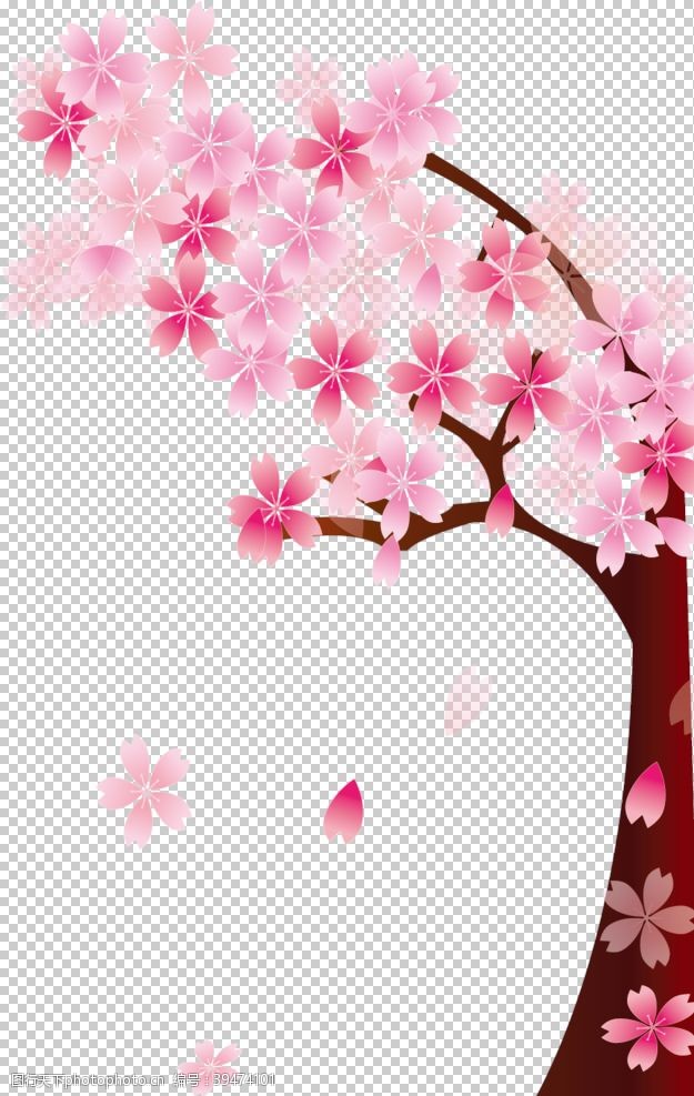 武大樱花樱花装饰素材图片