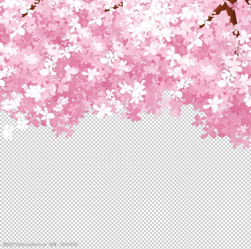 樱花素材樱花装饰图片