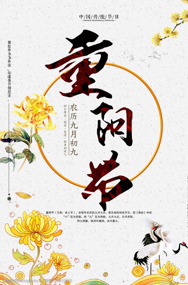 重阳节宣传重阳节图片