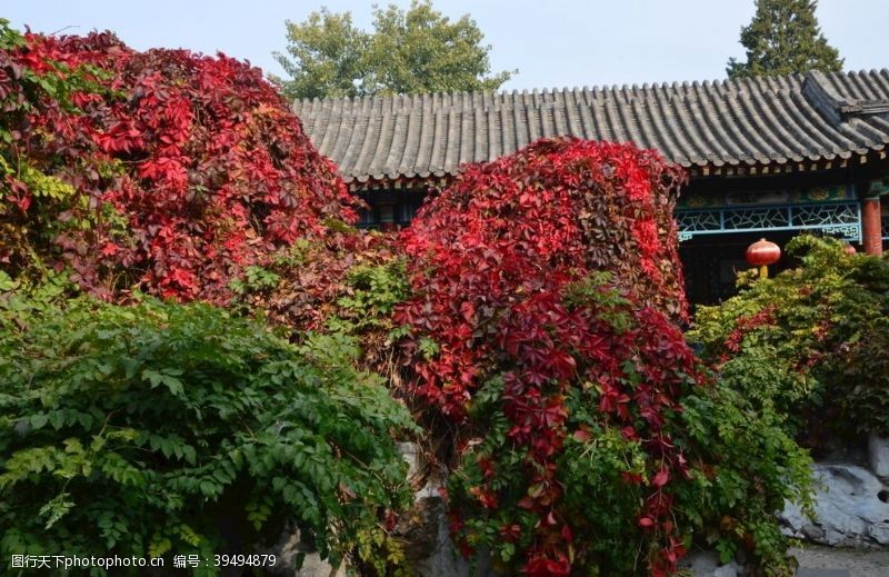 爬山彩叶风景图片