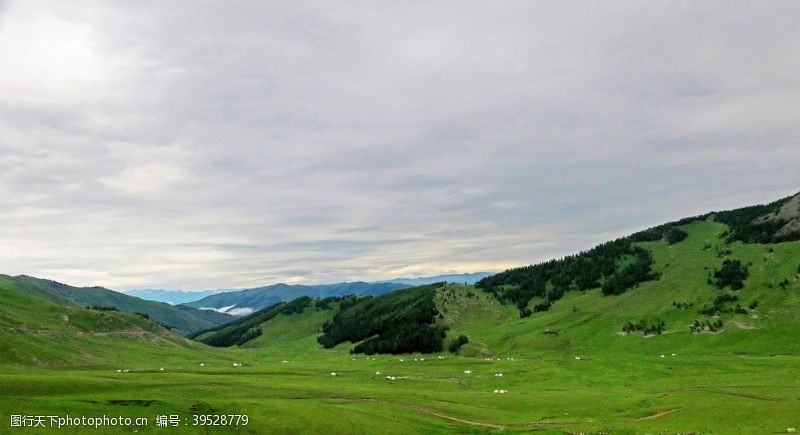 新疆风景喀纳斯图片