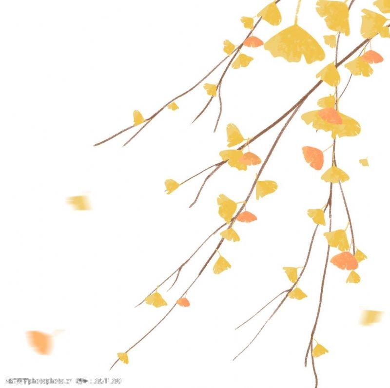 秋天树叶矢量秋季银杏叶png素材图片