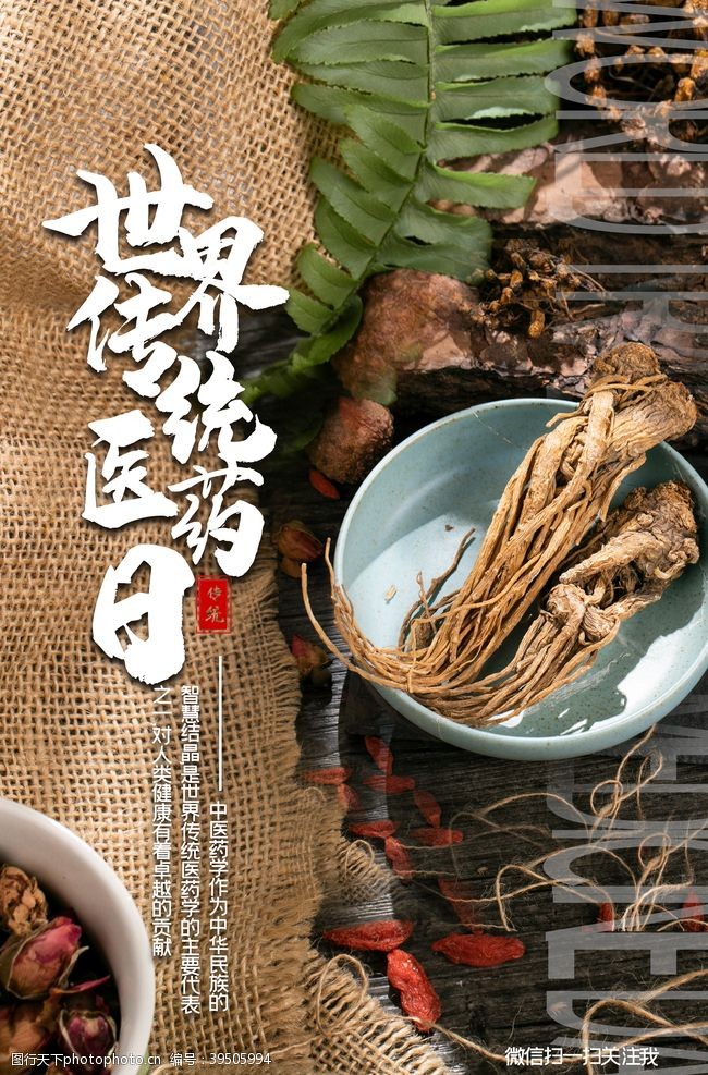 中医药文化世界传统医药日海报图片