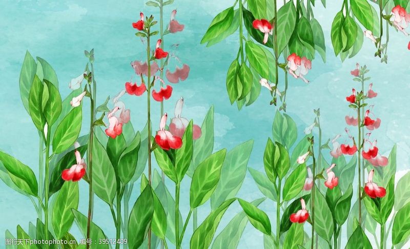 橄榄手绘植物花卉图片