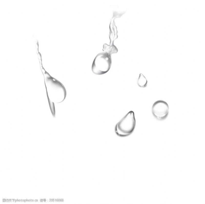 透明的花水滴素材图片