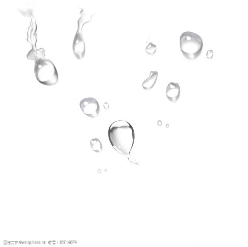 透明的花水珠素材图片