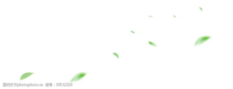 漂浮绿叶树叶图片