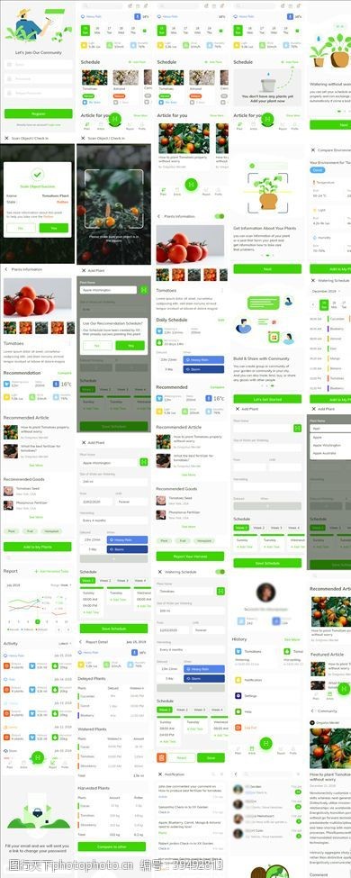 简单详情xd种植果蔬绿色UI设计登录页图片