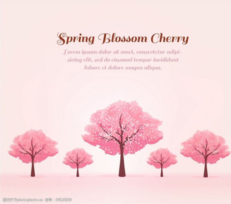 春季花卉春季粉色樱花树图片