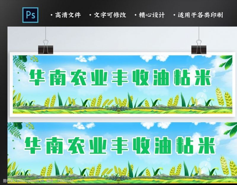 种子包装设计大米banner图片