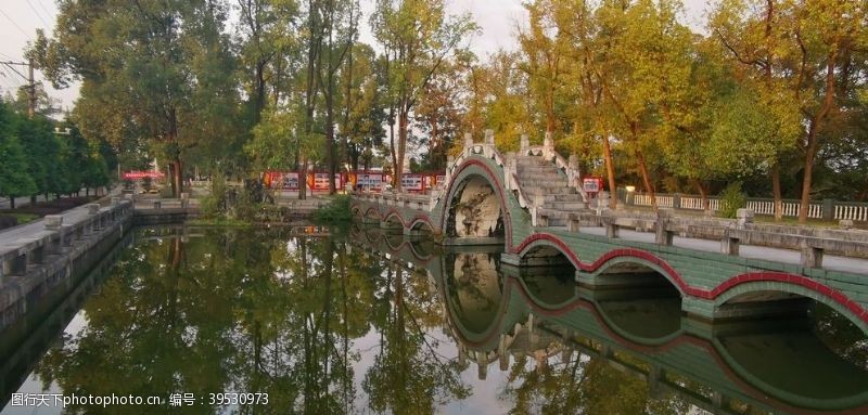 春天的花绿公园风景照图片