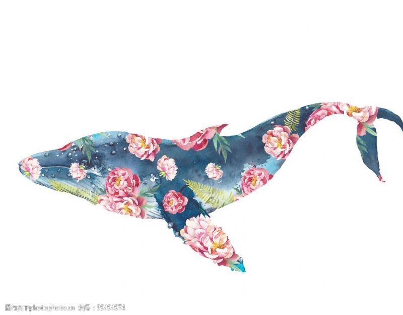 鲸鱼数码印花手绘花图片