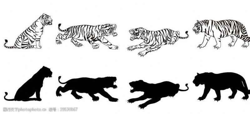 卡通小狮子手绘老虎图片