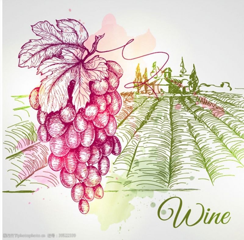 红酒主图设计手绘葡萄酒庄园图片