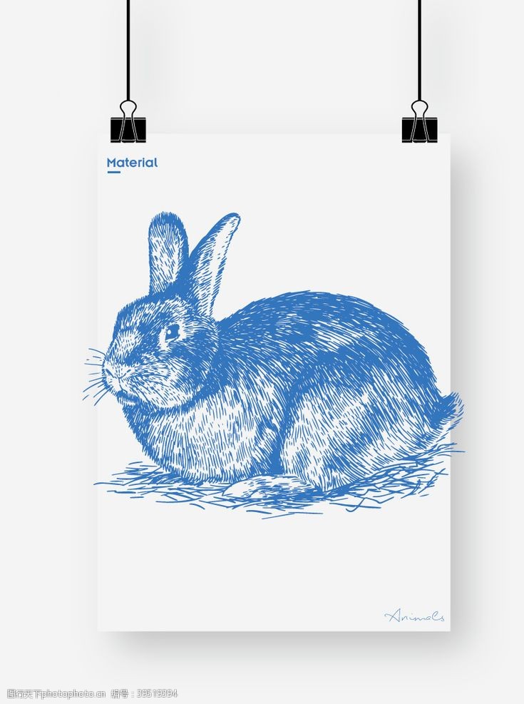 兔子底纹兔子图片