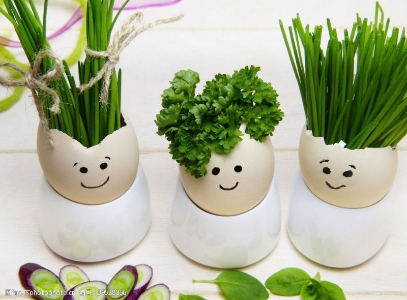 绿色蔬菜海报素材香菜图片