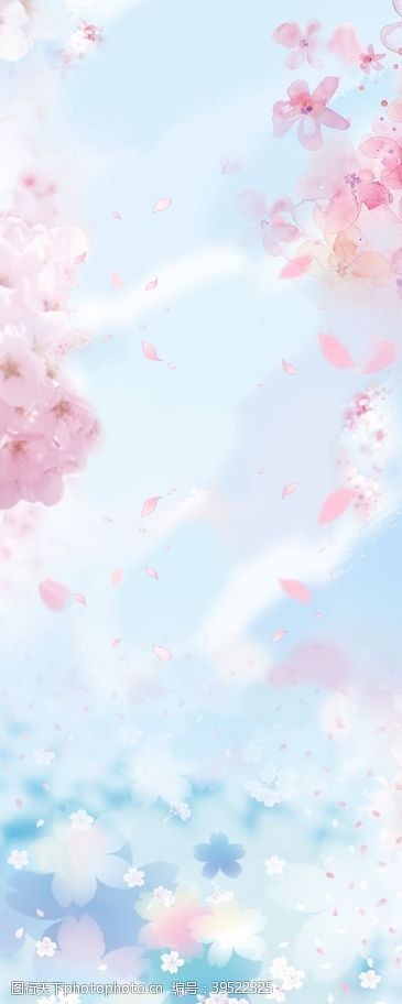 白色樱花樱花蓝天白云背景图图片
