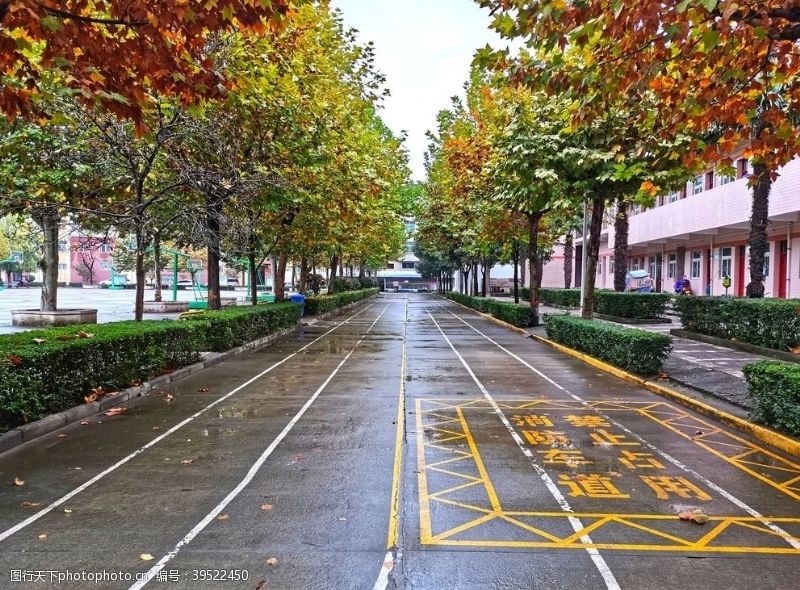场景雨天的校园操场图片